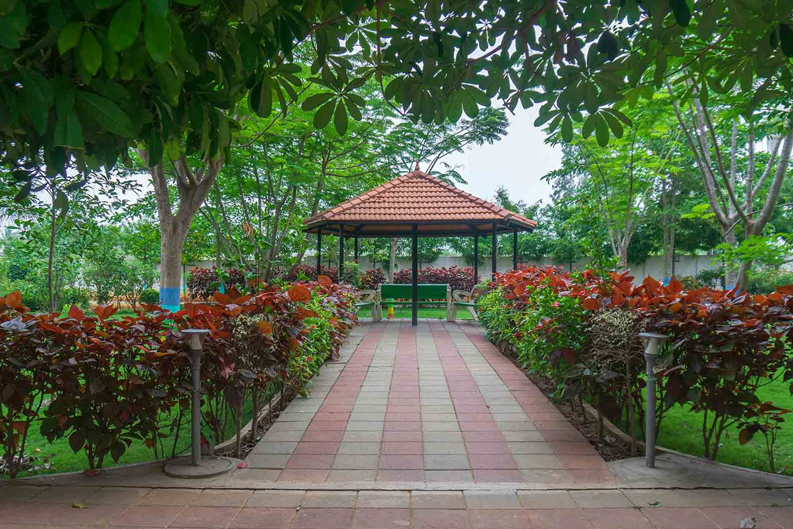 Green Grove