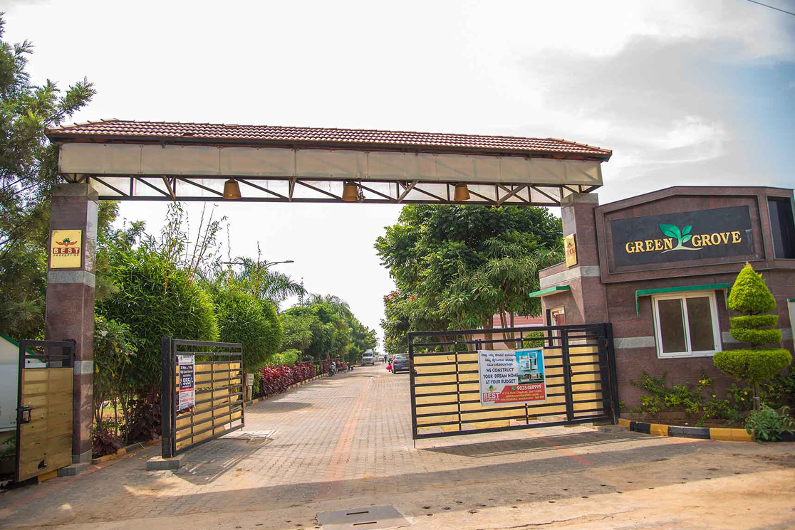 Green Grove