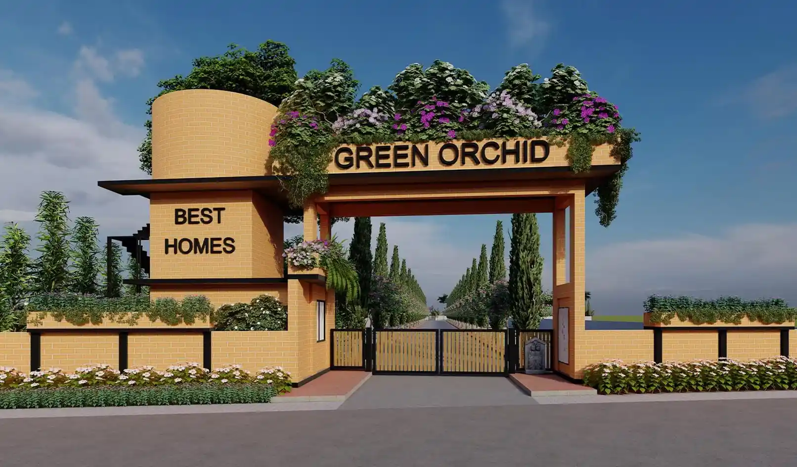 Green Orchid